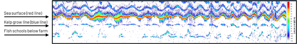 echogram