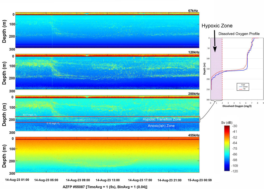 Echogram of midge fly larvae vertical migration