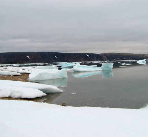 Ice