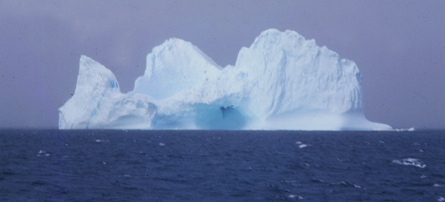 Iceberg