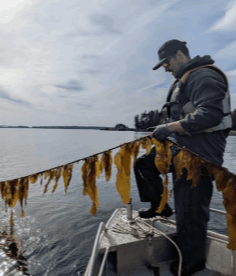 SOFAR-AZFP-nano Smart Buoy