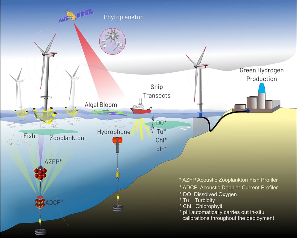 Offshore Wind Energy