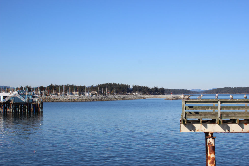 Sidney Port Marina