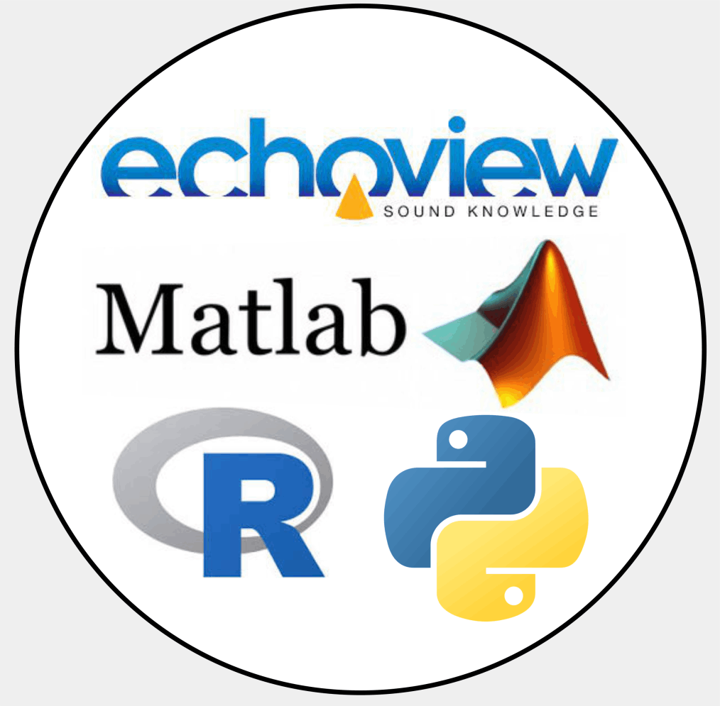 Software